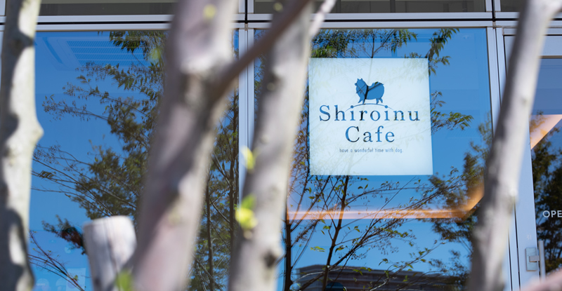 Shiroinu Cafe～柏の葉T-SITE～